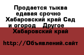 Продается тыква едавая срочно - Хабаровский край Сад и огород » Другое   . Хабаровский край